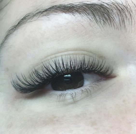 Professional Knowledge for Eyelash Extensions ③