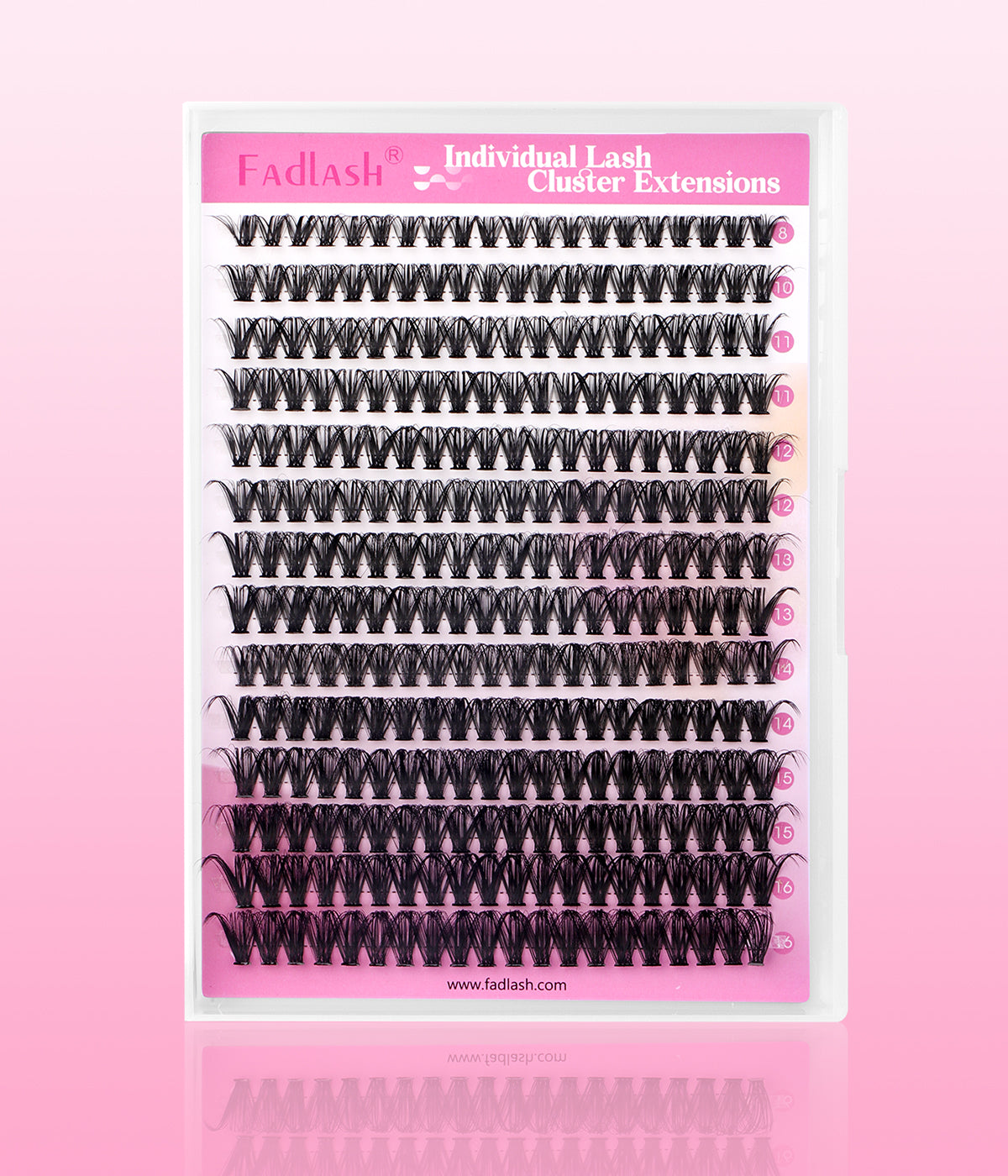 GLAM 40P Lashes Kit - Fadlash