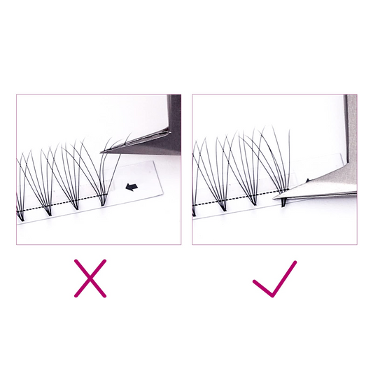 narrow premade fans 6D