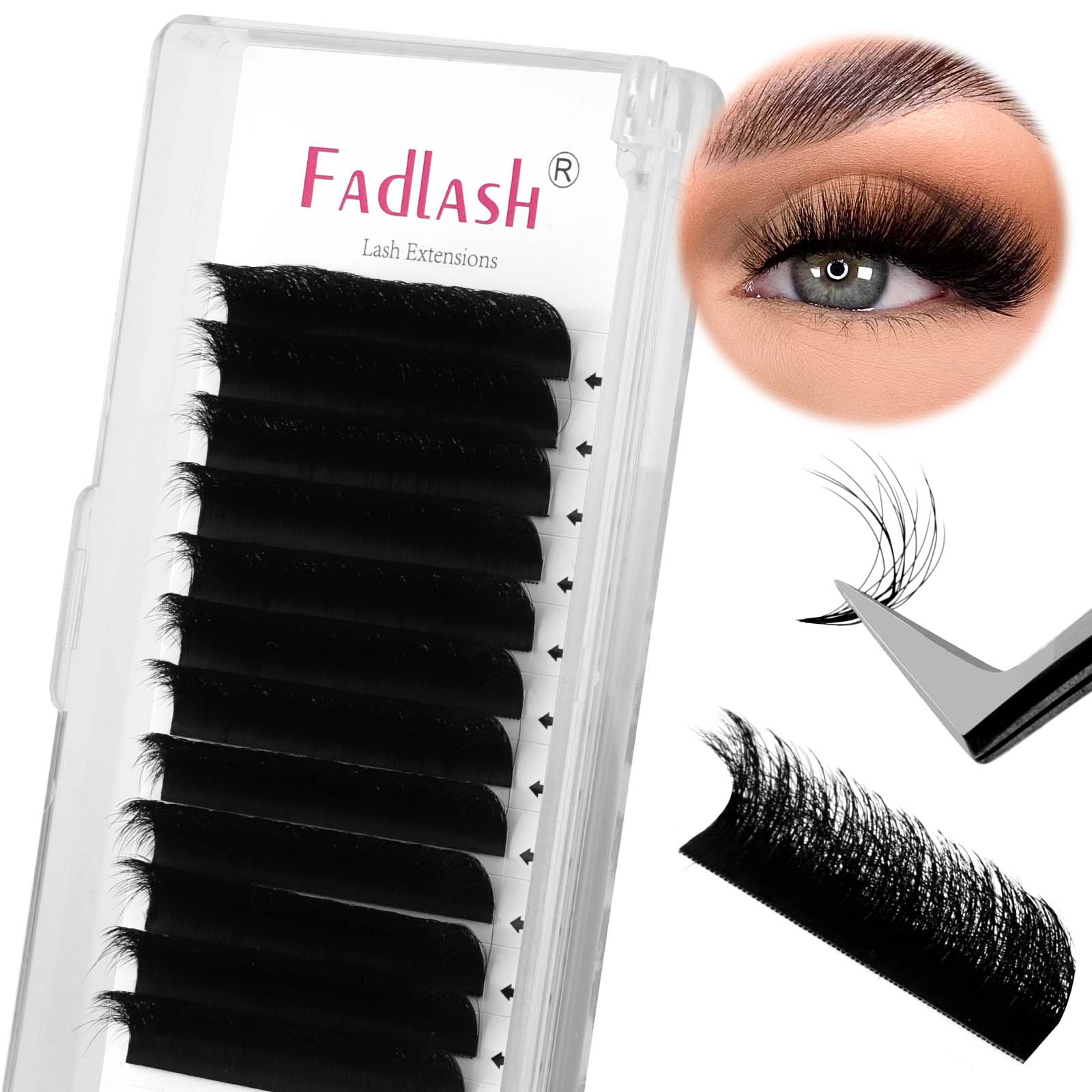 Self-Fanning Camellia