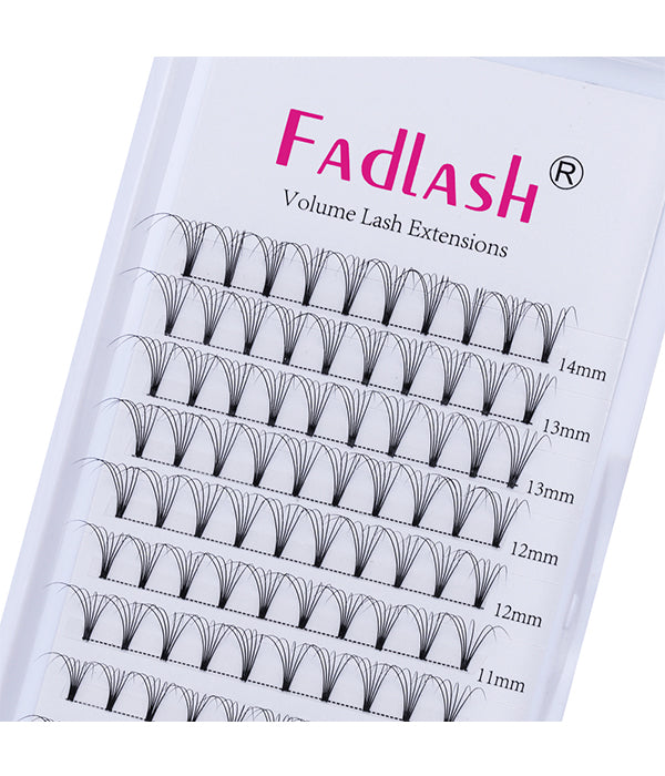 6D Premade Fan Eyelash Extension - Fadlash