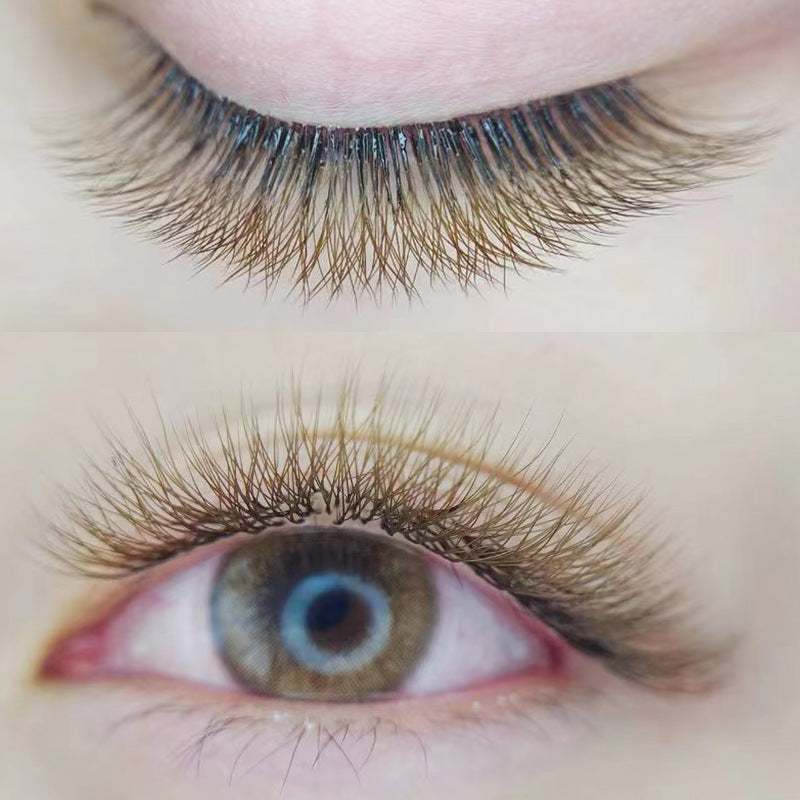How to become a pro eyelash extension technician?