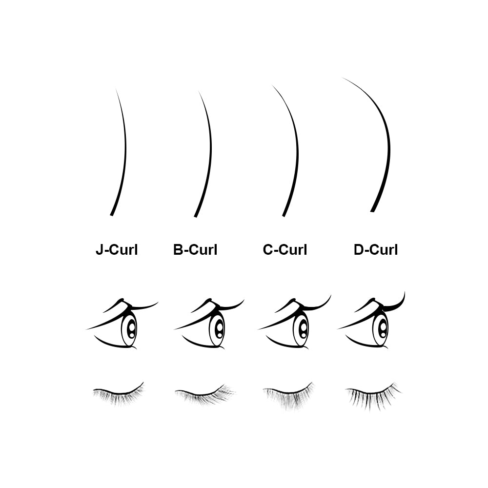 Basic Knowledge of Eyelashes ①