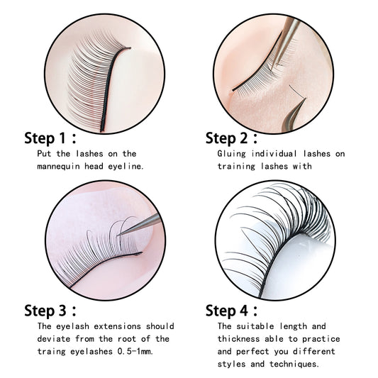 Basic Knowledge of Eyelashes ②