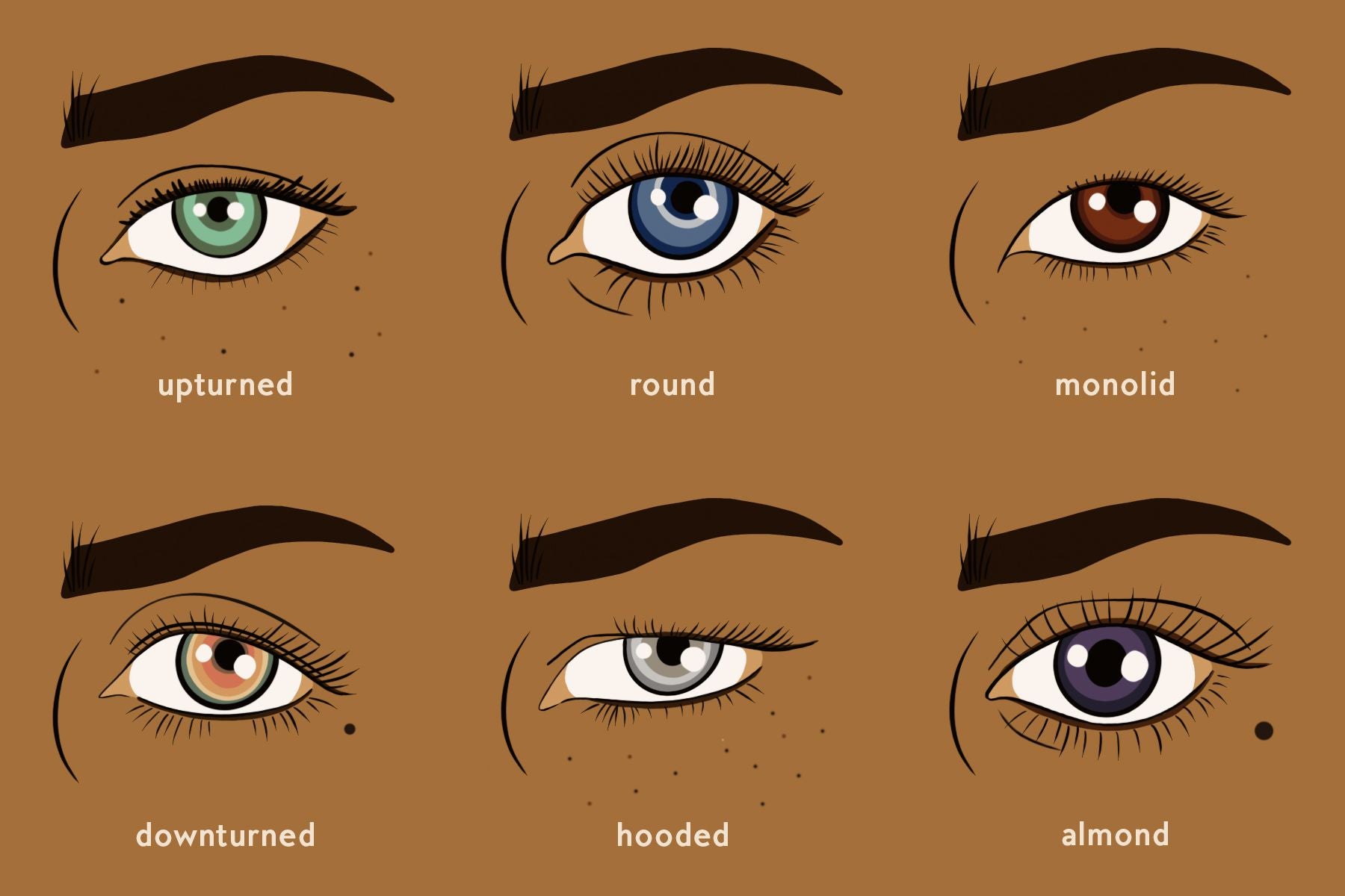 How to choose an eyelash style according to your client’s eye shape?