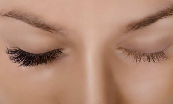 Lash Tray Organization Tips for Busy Lash Artists