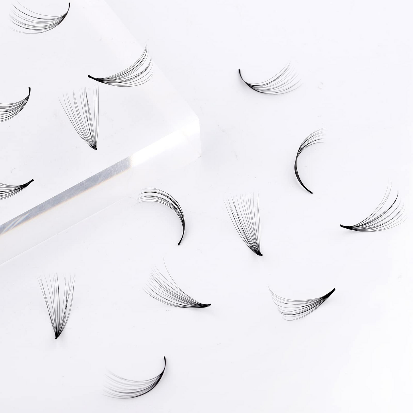 1000pcs 0.05mm C Curl 16D Promade Volume Fans (Mix 9-16mm)
