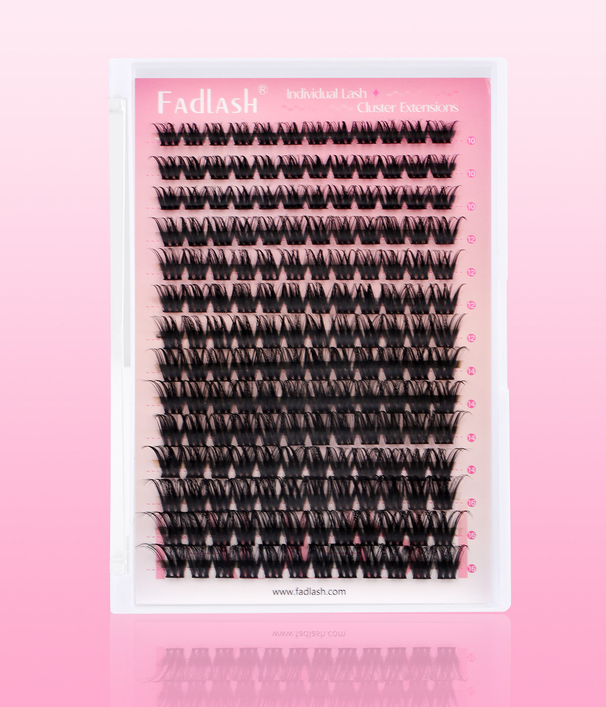 Wet Look DIY Lash Extensions Kit - Fadlash