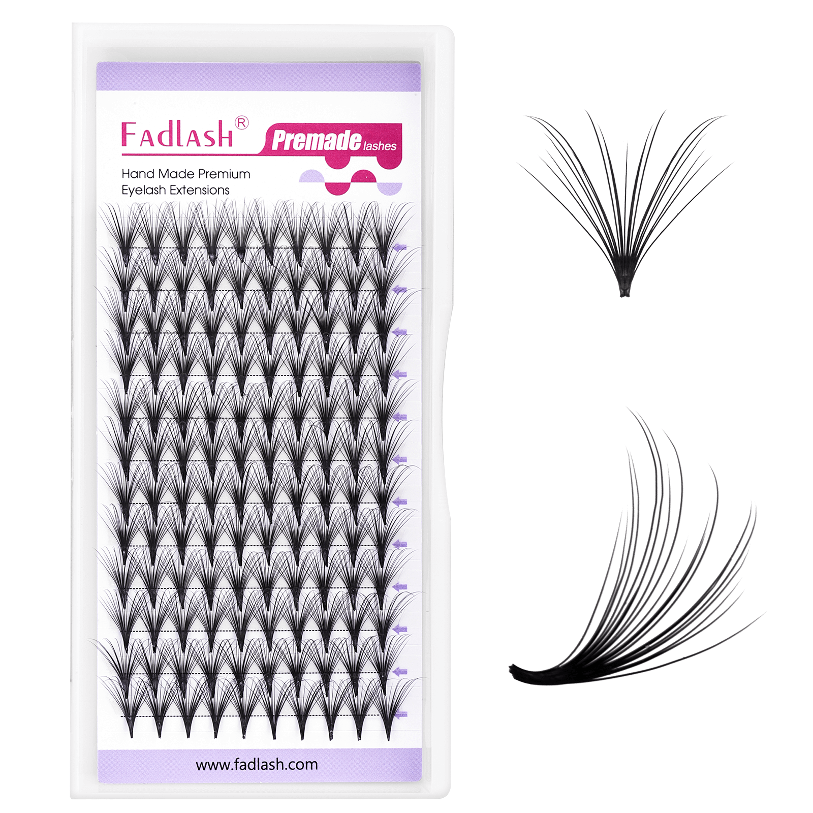 Fadlash Camellia Premade Volume Fans close-up showing stable D-curl and fan shape
