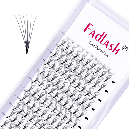 fan volume lashes 6D