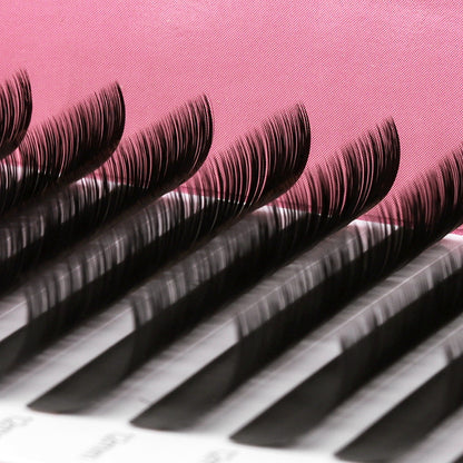 Neat and Orderly Fadlash Classic Lashes Densely Packed in Row and Safe Material.
