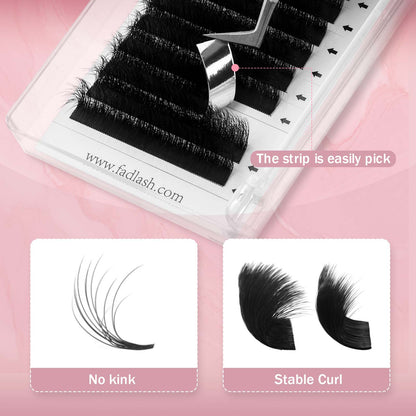 Camellia Lash Extensions