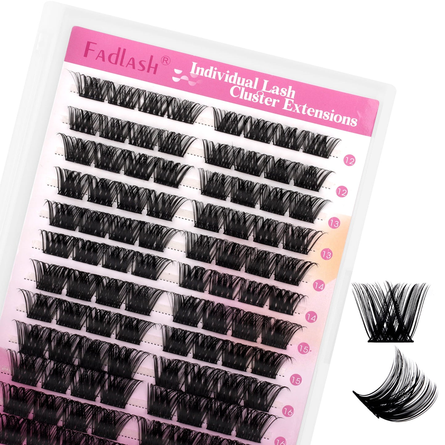 Soft D Curl lash clusters for lifted DIY lash mapping