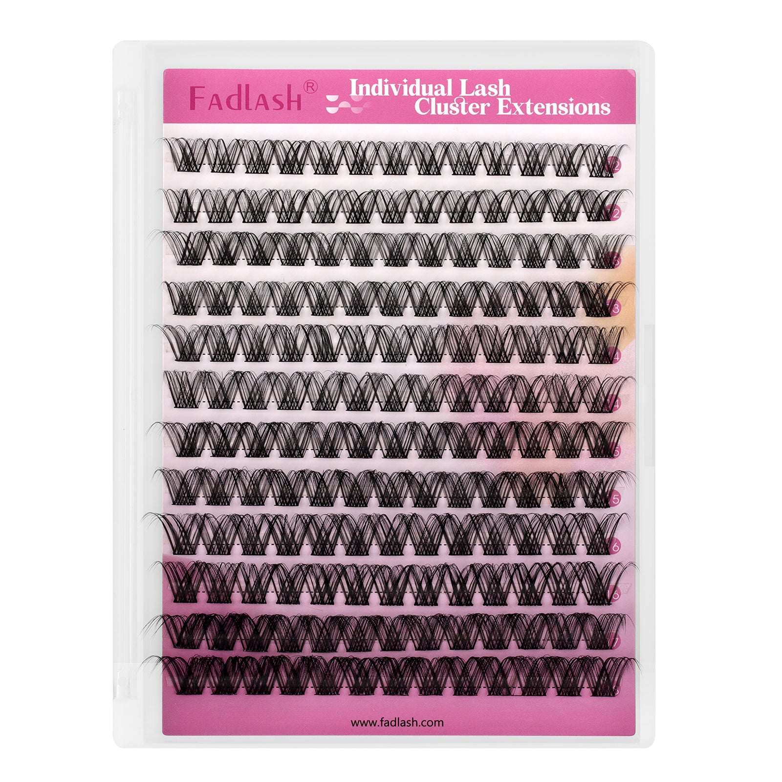 Beginner Friendly Lash Clusters