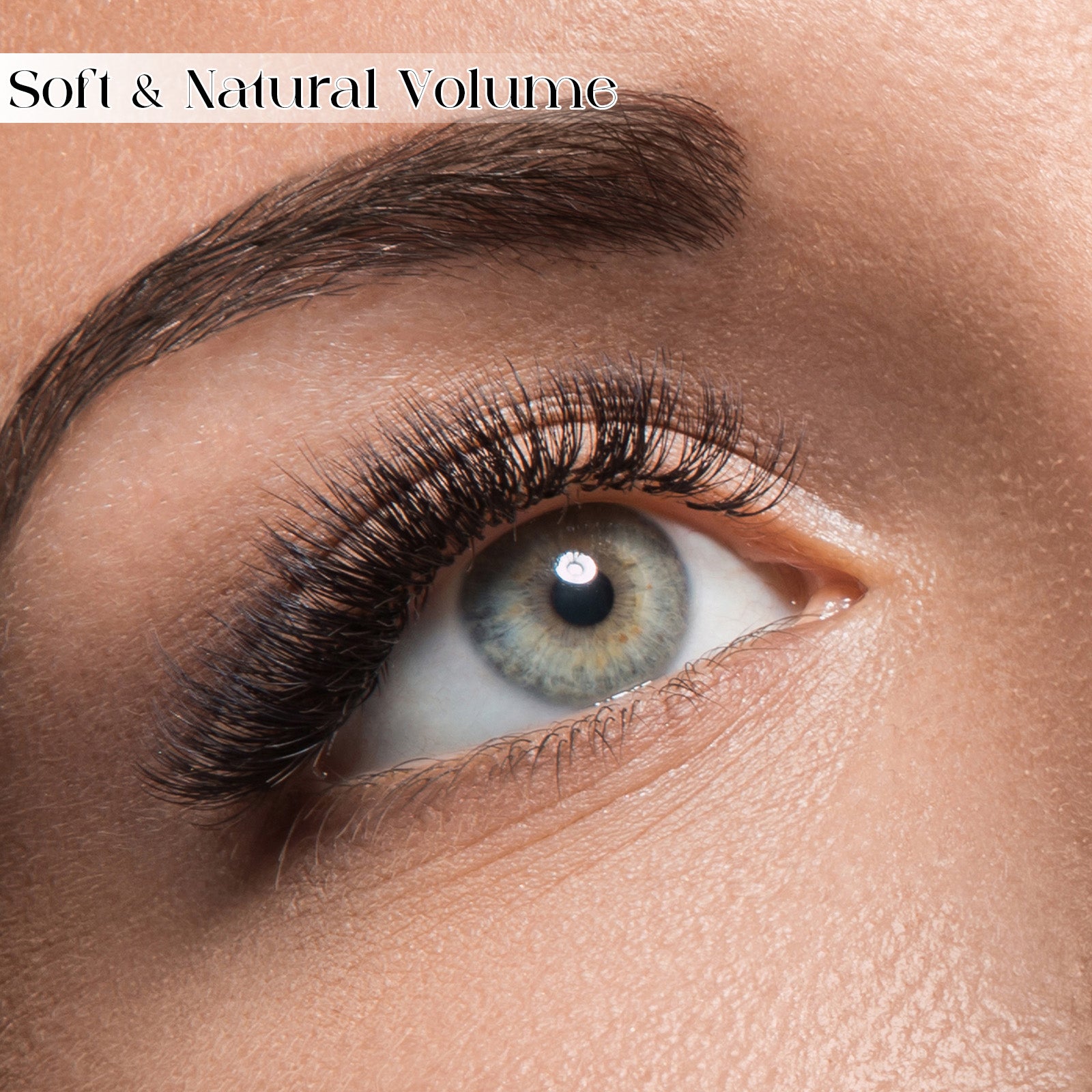 Lightweight 10D premade fan lashes 0.07mm for professional lash artists