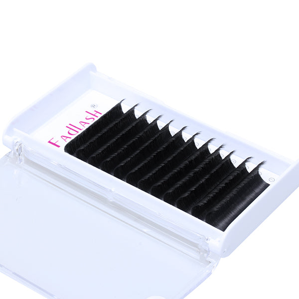 Lash artist quickly using 3 Trays Easy Fan lashes.