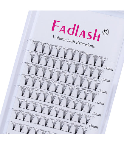 6D Premade Fan Eyelash Extension - Fadlash