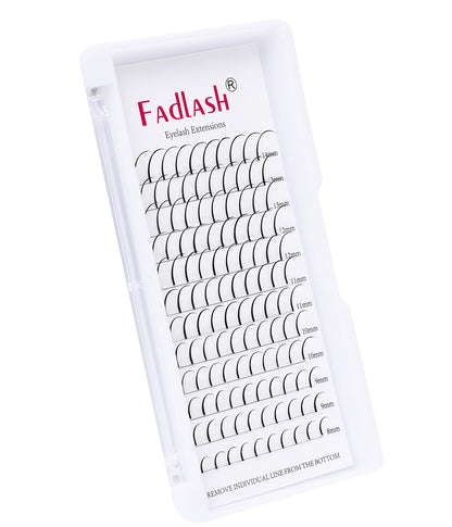lashes wispy​ trays