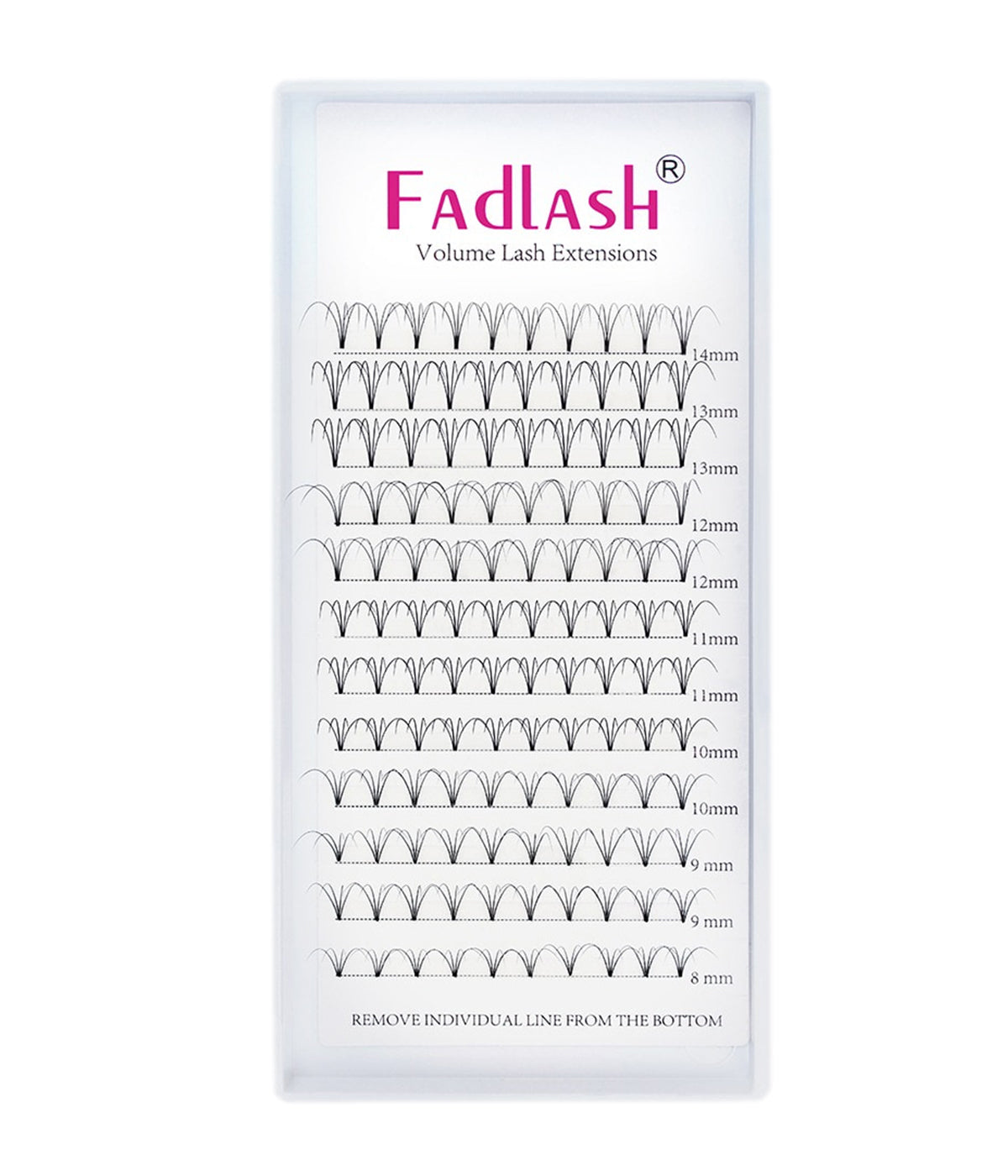 40 Trays Small Bulk Order - Fadlash