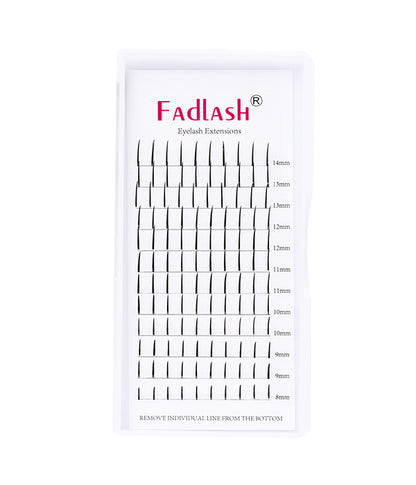 wispy lash extensions trays
